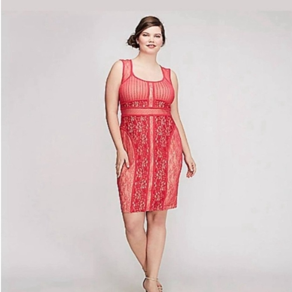 Lane Bryant Mixed Lace Bodycon Dress Pink Women Plus‎ Size 16 Stretch Valentine
